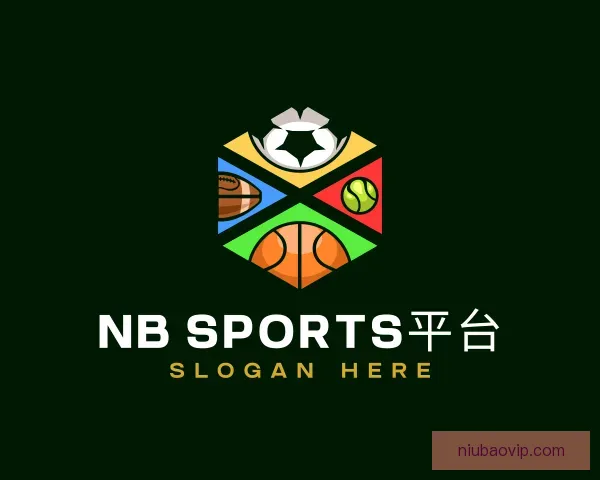 介绍NB SPORTS平台